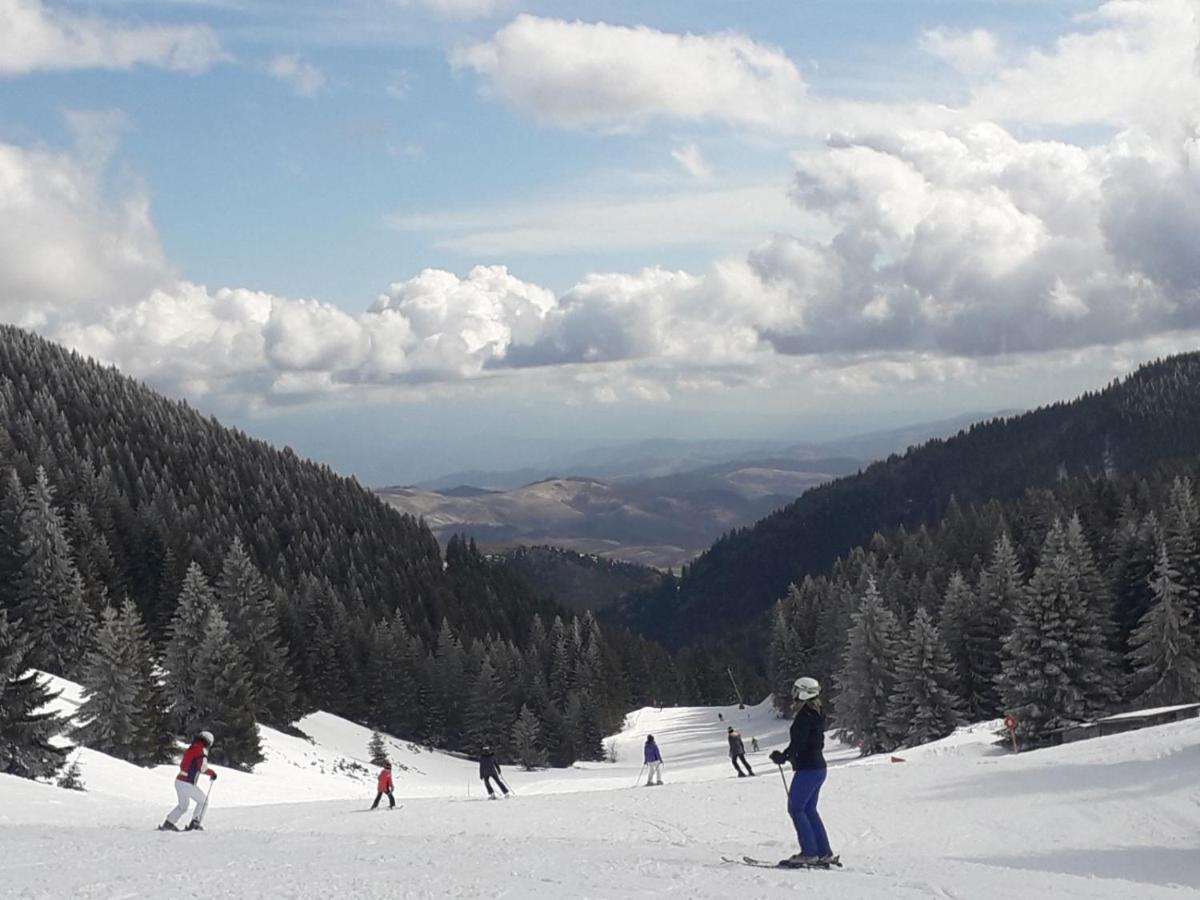 Milmari S30 Apartment Kopaonik Bagian luar foto