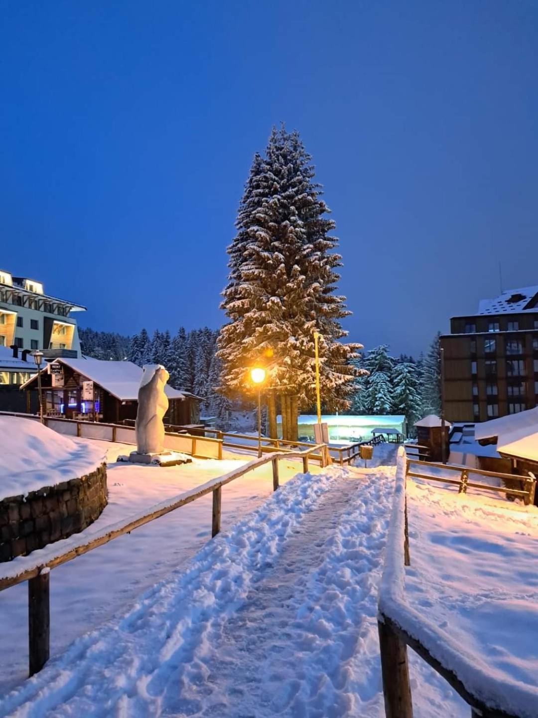 Milmari S30 Apartment Kopaonik Bagian luar foto
